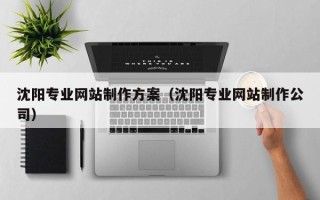 沁阳沈阳专业网站制作方案（沈阳专业网站制作公司）